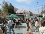 三春滝桜と花見客